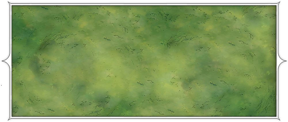 Grass background